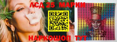 крисы Дубна