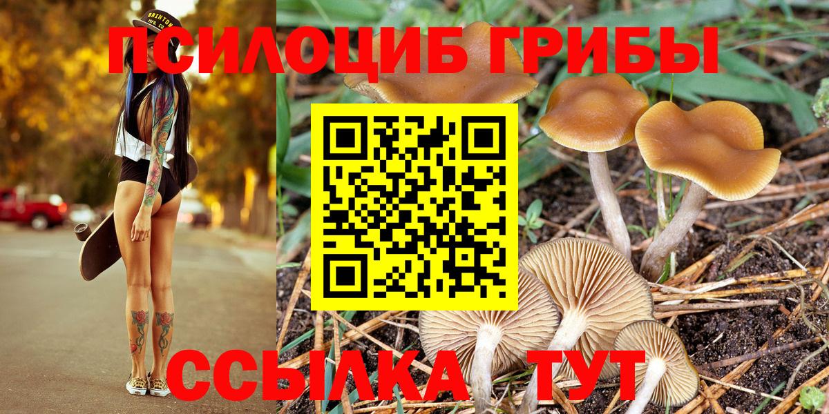 Галлюциногенные грибы прущие грибы  Псилоцибиновые грибы Psilocybine cubensis  Дюртюли  Вход с VPN 